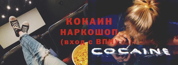 дмт Дмитриев