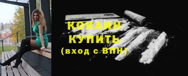 кокс Дмитровск