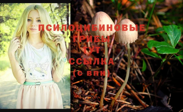 дмт Дмитриев