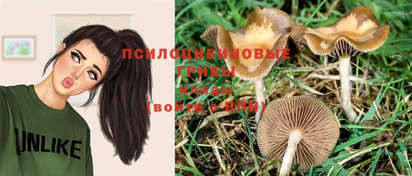 кокс Дмитровск