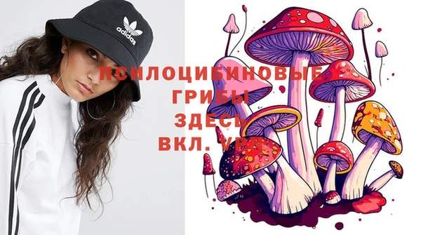 кокс Дмитровск