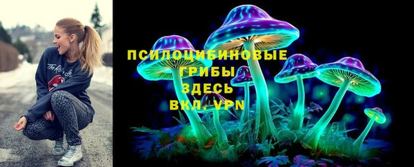 кокс Дмитровск