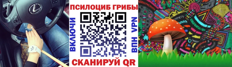 Псилоцибиновые грибы прущие грибы  Нязепетровск 